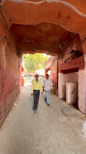 Индия не перестает удивлять 😱 #travel #india #индия #джайпур #треш