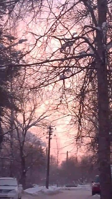 17 января 2026 г.