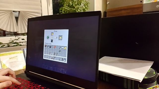 майн с братом