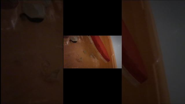 13bb4b1700e7442b590f1be9caeba793