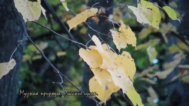 411b87db840b718ed00ac98bfba206e9