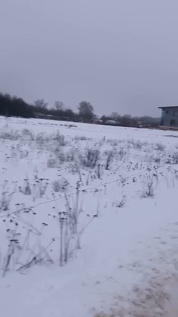 Video_2026-01-29_17-55-56