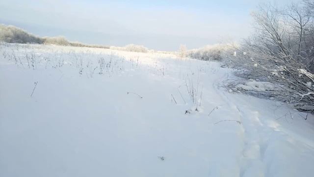 Мороз и солнце днь чудесный.