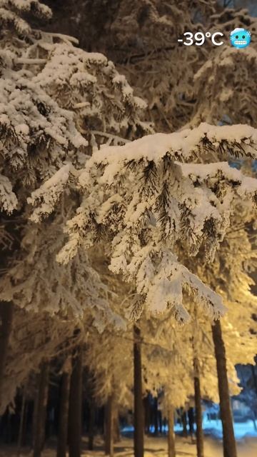 Иней  и ледяной шепот ветра: -39°C / Крайний Север / ASMR