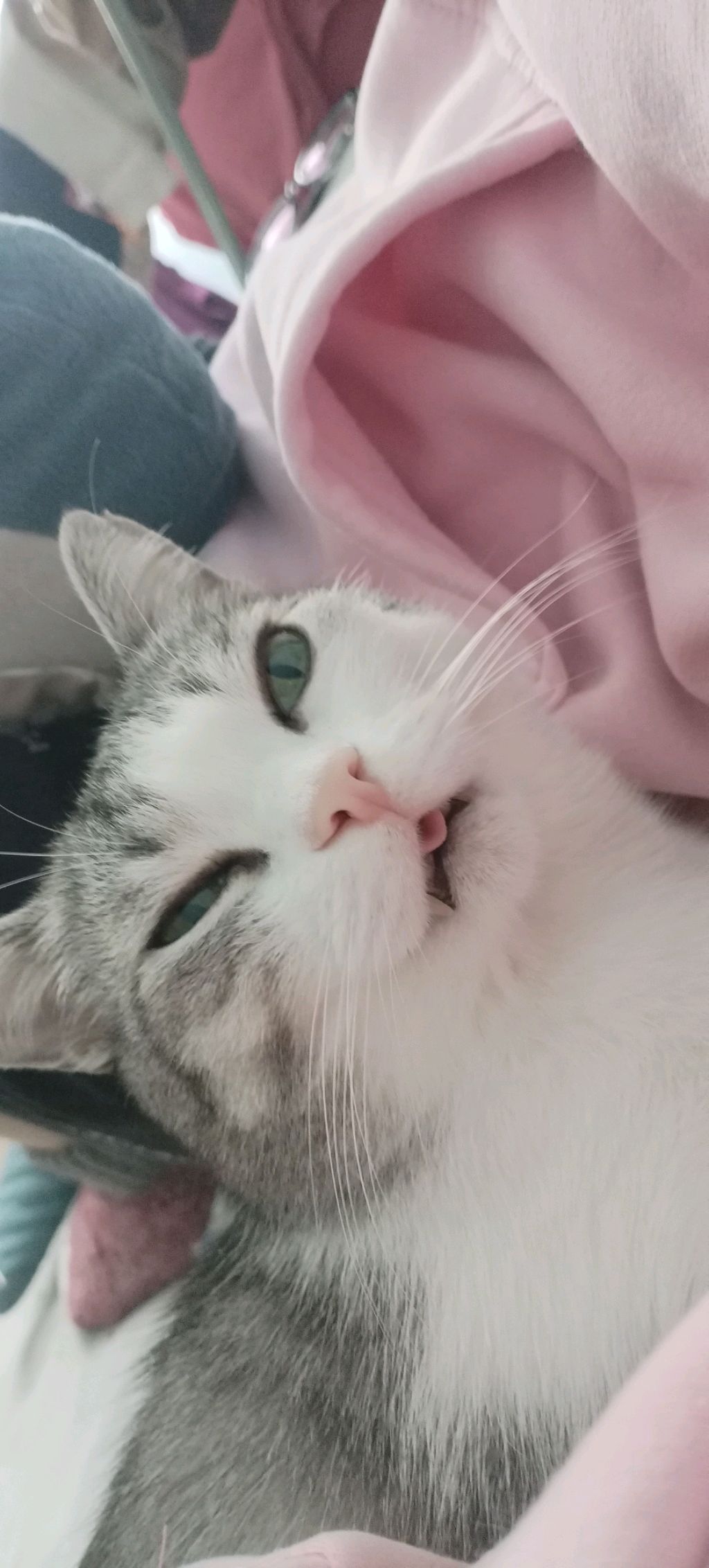 ЗАХОДИТЕ КО МНЕ!!!!Я хочу 300 зрителей