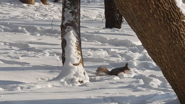 Ae322baff4a77c589aceca206173a382