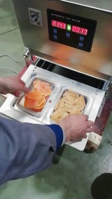 Автоматический запайщик лотков HL-95A с двойной запайочной матрицей