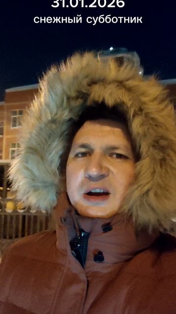 Снежный субботник МО