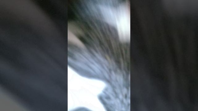 вот что получилось