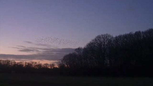 5b7d27130592909f33c340ef4597a602