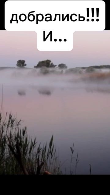 Уехали на рыбалку и забыли.....