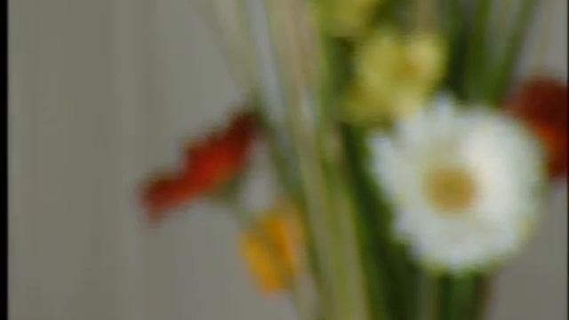 18684b07a1fb8518e69d7e82359f6065