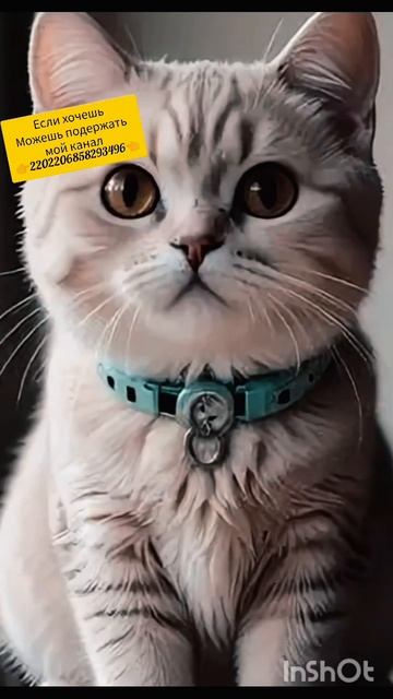 фразы с глубоким смыслом