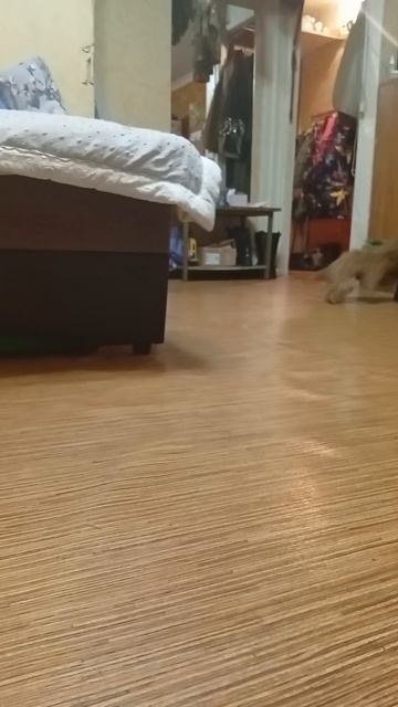 Меня не догонят