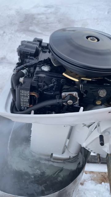 Лодочный мотор Джонсон Эвенруд.