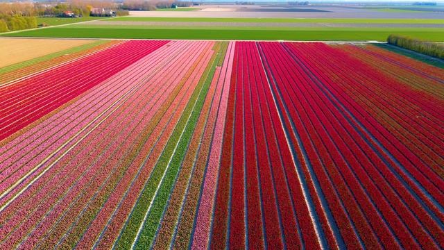 20221029 - Amsterdam 8K Video Ultra HD 240 FPS