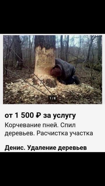 СМЕШНЫЕ ОБЪЯВЛЕНИЯ АВИТО!#мемы #приколы  #авито #подпишись #like #смешные #смех #смешные #юмор