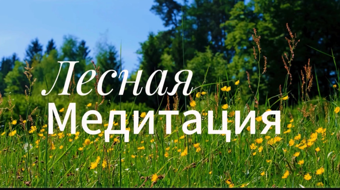 Медитация в лесу. Пение птиц. Релакс.