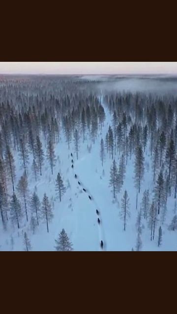 52f5dd00f70549a014f04cbe2b7437ff