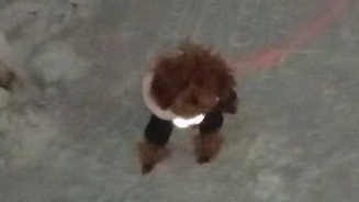 Заморозили