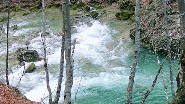 РЕКА ДЕТСТВА