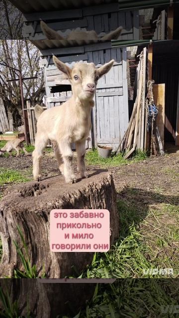 стало грустно💔