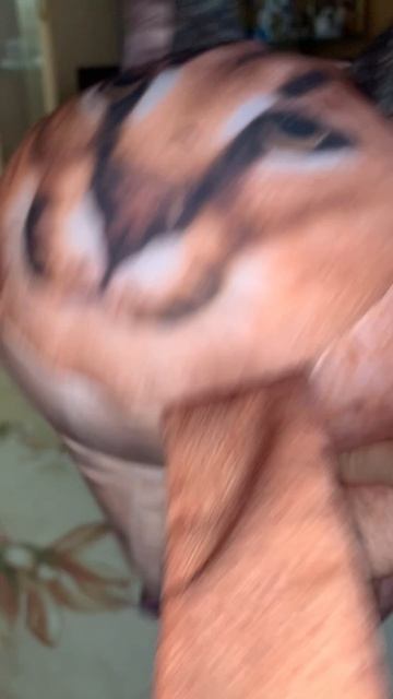 Приветствие