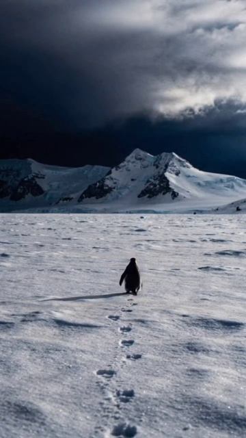 Думала, что нашла ключевого партнера, тем временем партнер...