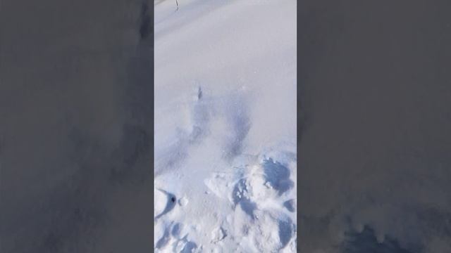 2 часть бабушка случайно отключила видео