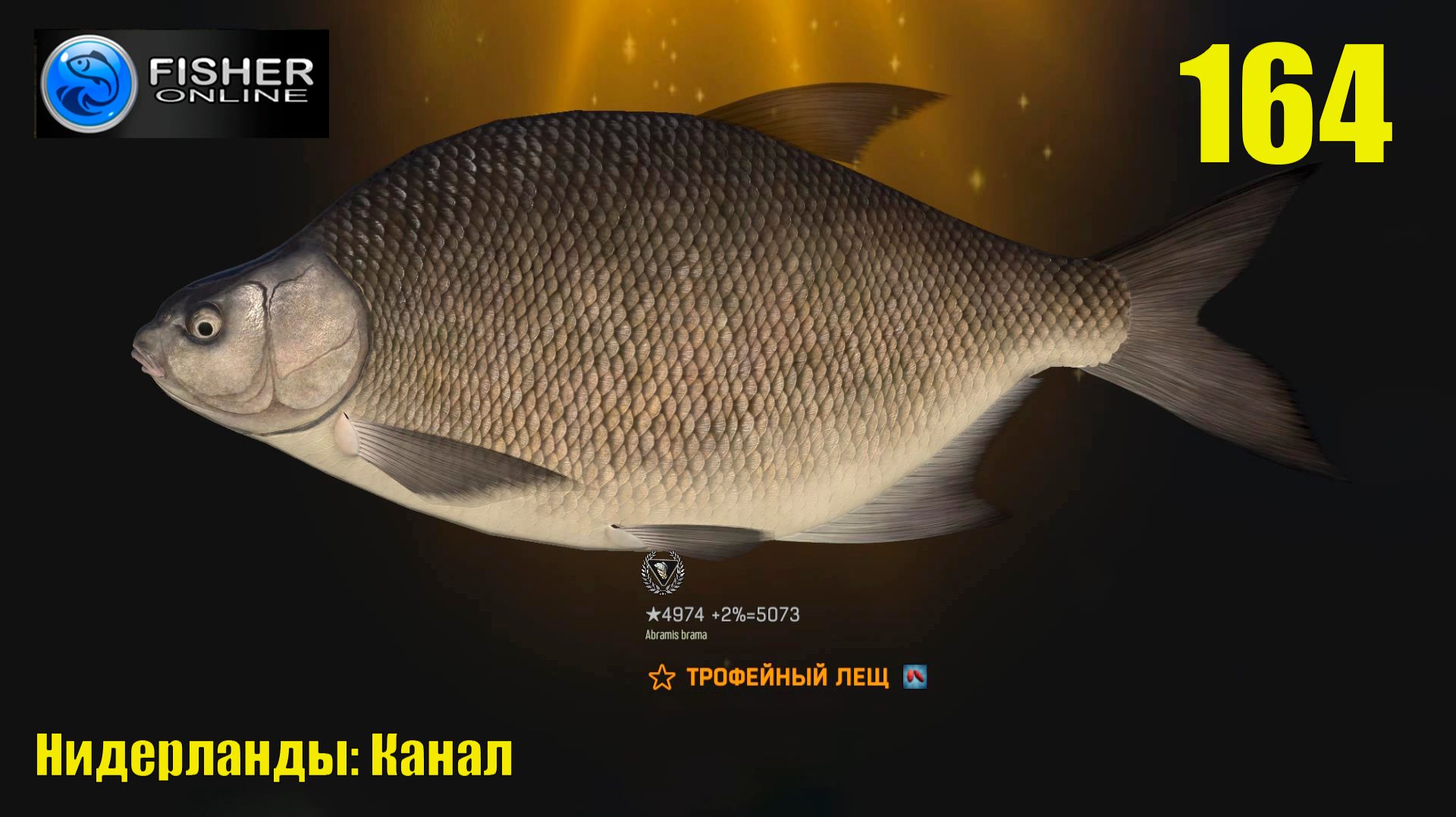 #164 Нидерланды: Канал ч.7 Путь к серебру: крупный и трофейный лещ.  Прохождение Fisher Online