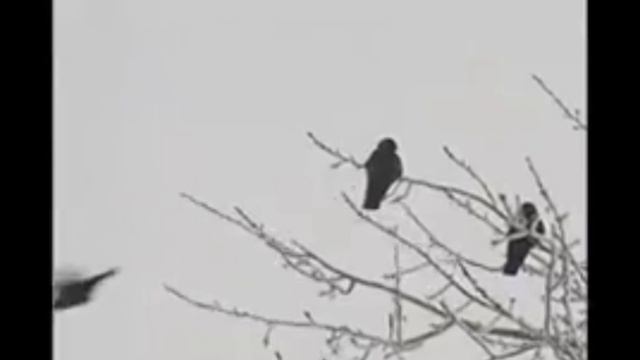 Мы разные, но вместе