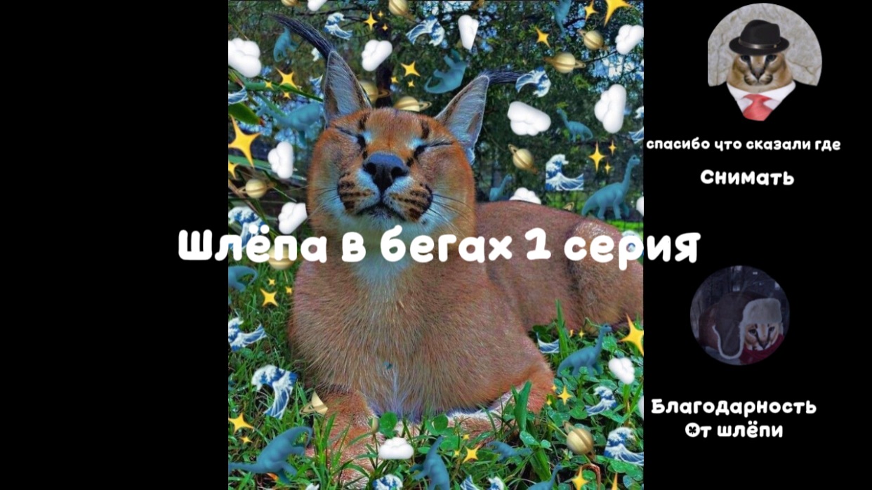 шлёпа в бегах 1 серия