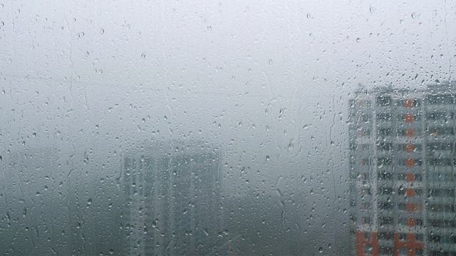 Soft Rain & Gentle Thunder | Rain