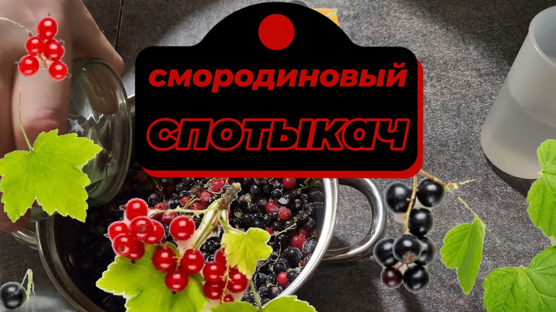 Спотыкач из черной смородины