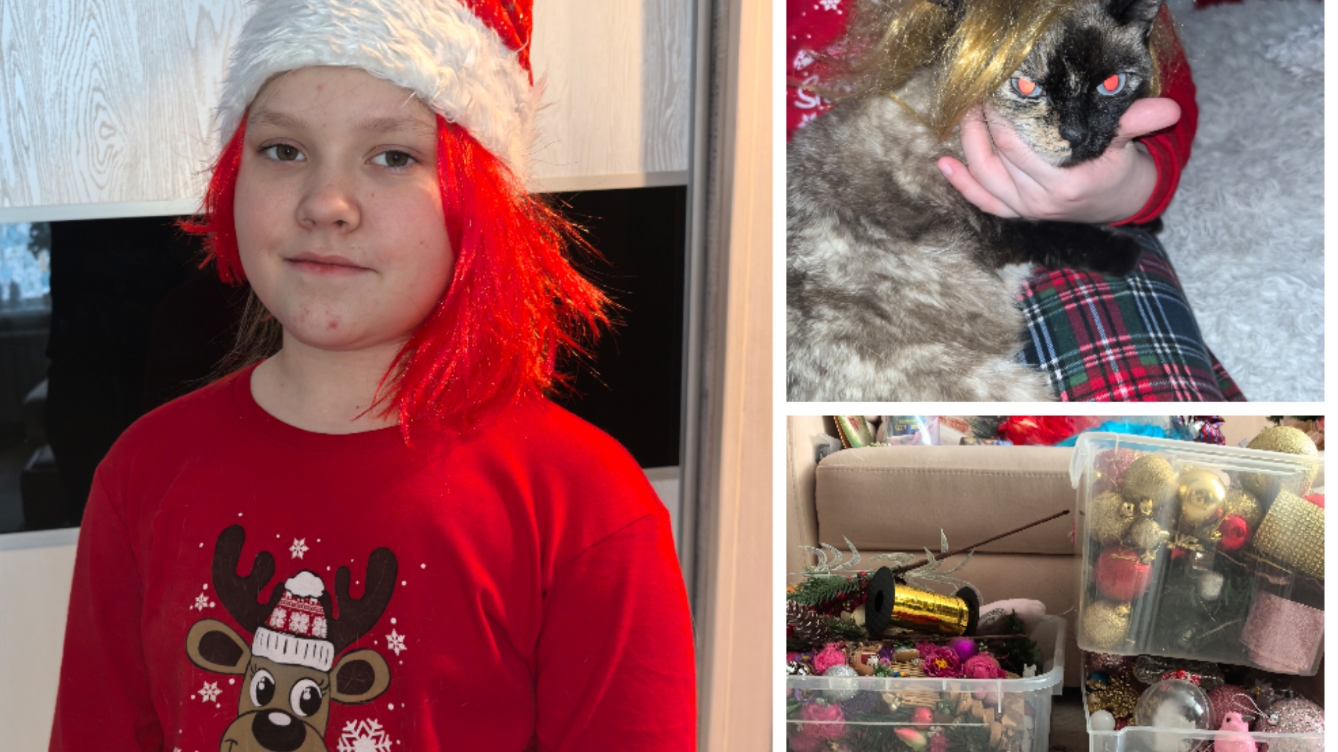 Воо: Убрали ёлку. Ждём весну.