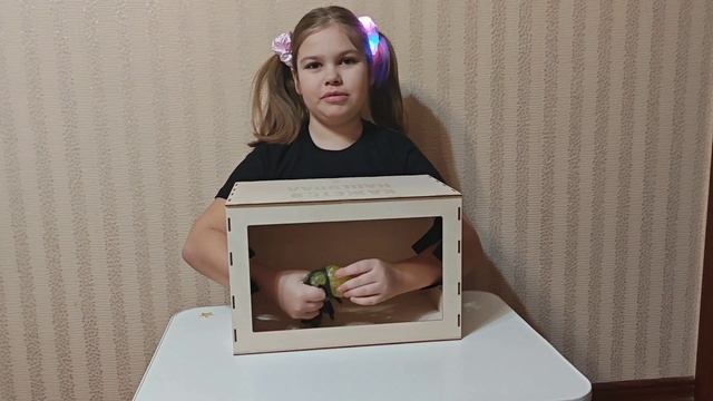 Угадай, что в ящике челлендж