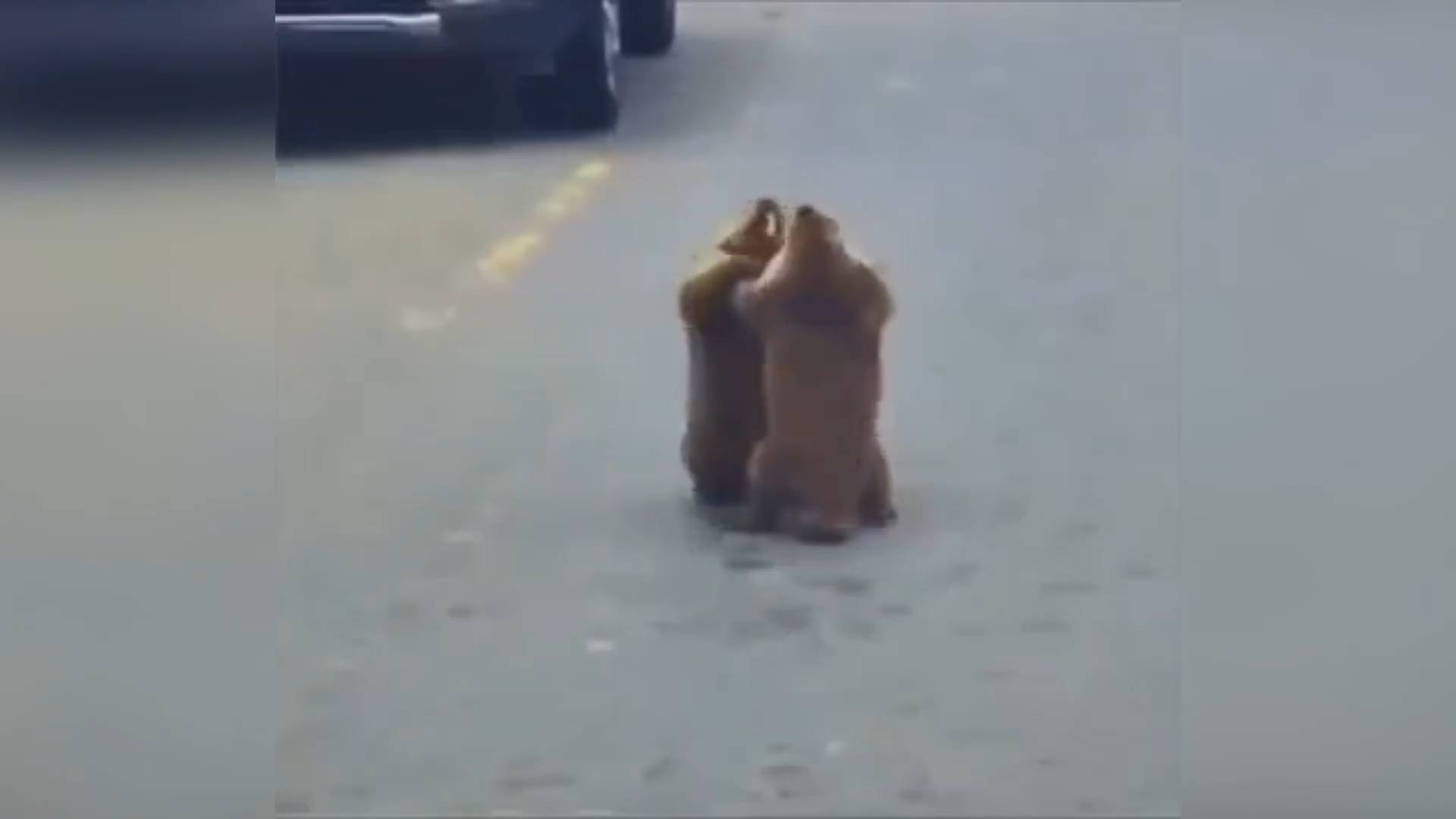 E886f4eafde6f6cfa79b31b695d7a847