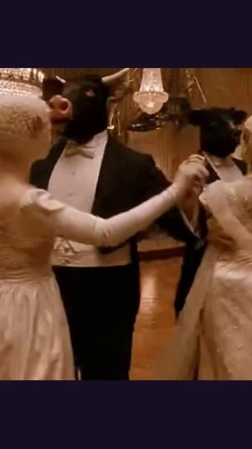 #бал #танцы #красота #стиль #атмосфера #музыка