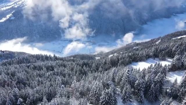 Метель метелица AVI SUNO AIai RussianFolk SnowForest WinterBallad Эмоциональная Песня Зима
