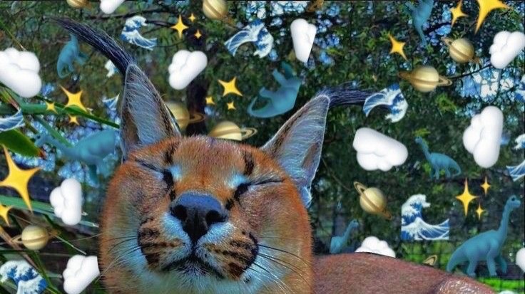 сбежавший шлепа последняя серия