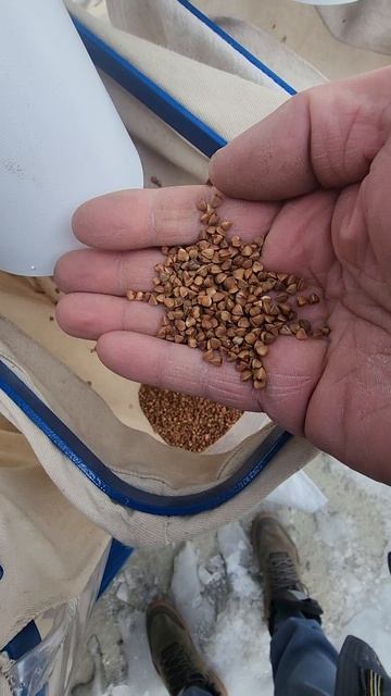 очистка гречки на сепараторе аэродинамическом САД