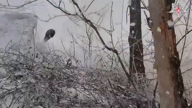 1877c26ebba8934b3ff252693e97a6b5