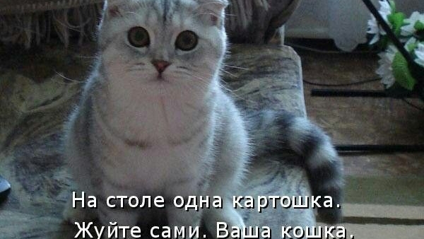 93243a9b1f4908ac17426f62bcc918d3