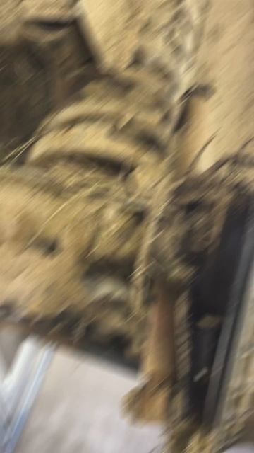 ВАЗ-2121 мойка после бездорожья - подвеска арки днище моторный отсек интерьер экстерьер до/после.