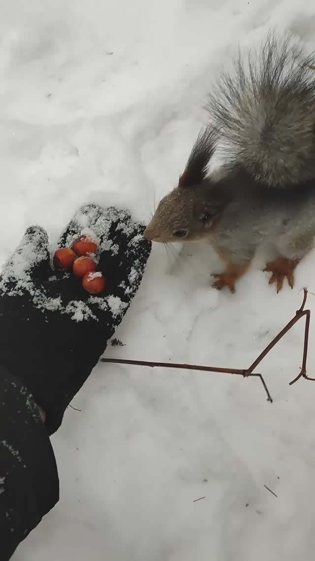 0d16817f64b0ce8b890c171a00cb21c7