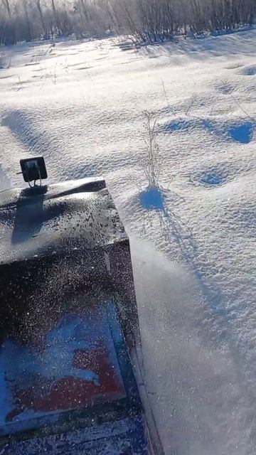 Сугробы мотобуксировщик и собака