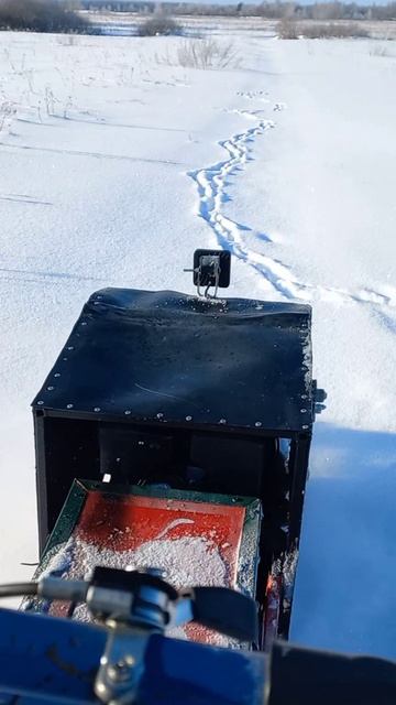 Едем на мотобуксировщике на прогулку с собакой