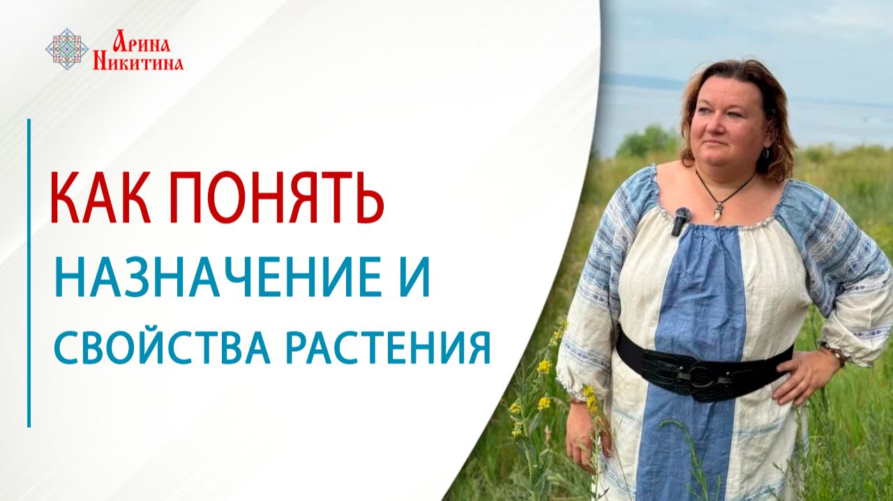 Как понять назначение и свойства растения | Арина Никитина