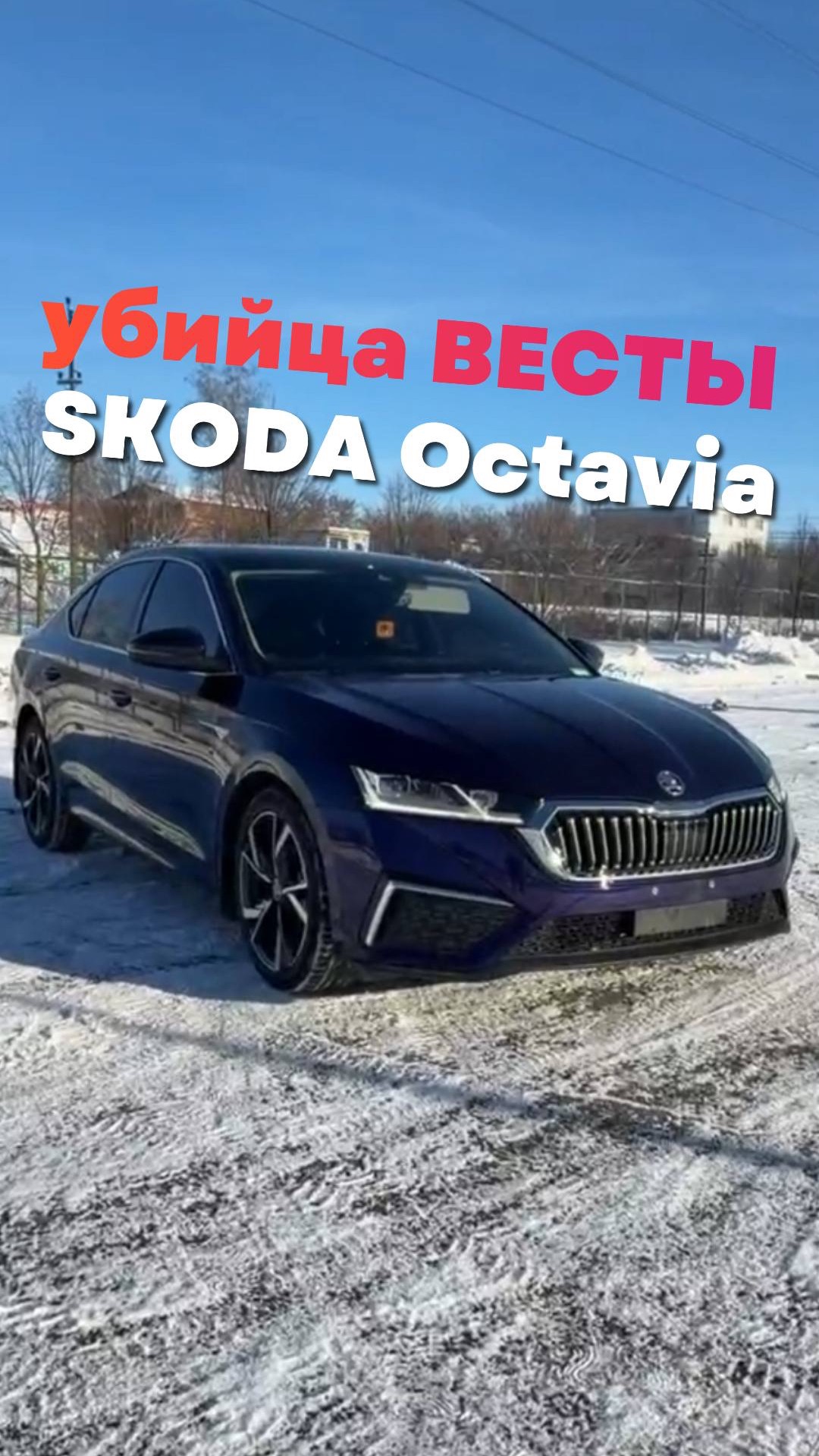 Привезён под заказ за 29 дней  Skoda Octavia Pro