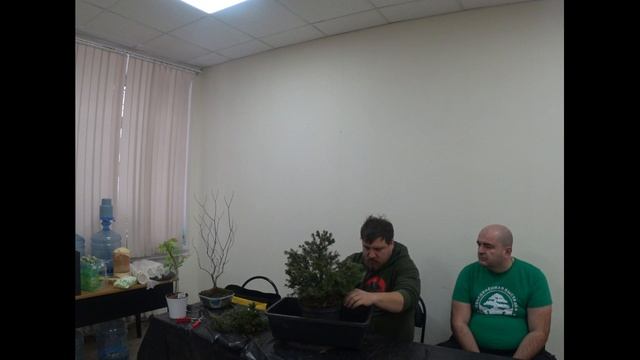 Вторая встреча клуба бонсай.